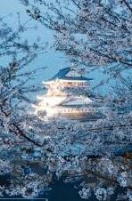 777大象传媒视频入口带-探索777大象传媒视频入口的多元文化与创意空间