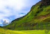大象传媒app在线播放-大象传媒app，在线播放的多元化娱乐新体验