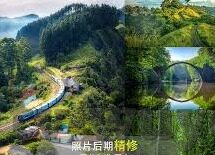 大象传媒破解下载免费-探索大象传媒的数字世界，免费下载的真相与挑战