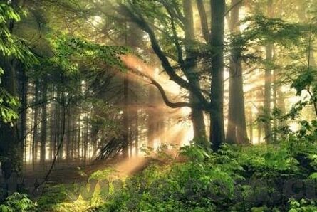 剧情好的中文字幕番号-剧情精妙的中文字幕番号，观影新体验的深度探索