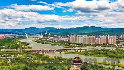 麻豆传媒app网址-麻豆传媒APP，探索数字娱乐新风尚的背后