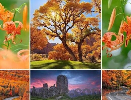 麻豆传媒影视在线看-麻豆传媒，现代影视欣赏的便捷窗口