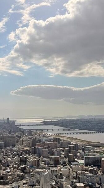 麻豆传媒 在线播放-麻豆传媒——线上视界的多维度探讨