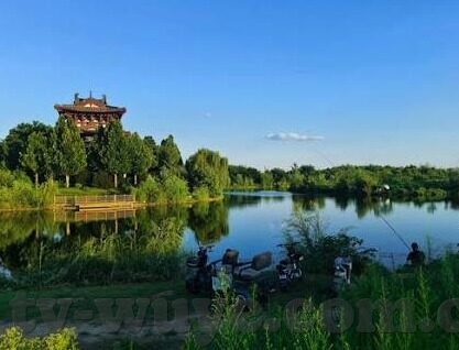 麻豆经纪人是什么app-麻豆经纪人，连接梦想与现实的艺术桥梁