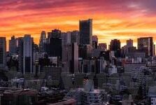 麻豆模特app-融入时尚的绿色园地，麻豆模特APP的多元魅力