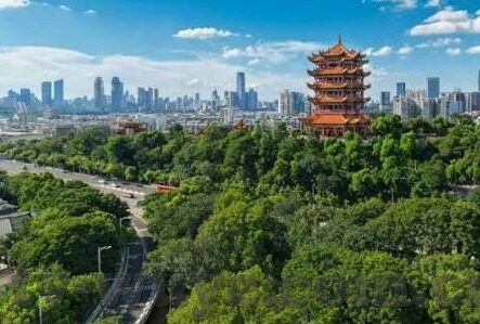 欧美中文字幕无线码视频-欧美影视新视界，中文字幕下的文化交融与娱乐盛宴