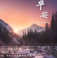糖心vlog官方下载-探索不渝，揭秘糖心Vlog的官方下载之路
