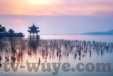 糖心直播app软件-洞察网络直播新风口，糖心直播APP的全方位解析