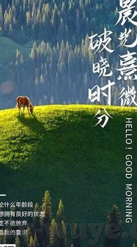 无码成人一区二区-成人内容区域解析，一区与二区的差异与影响